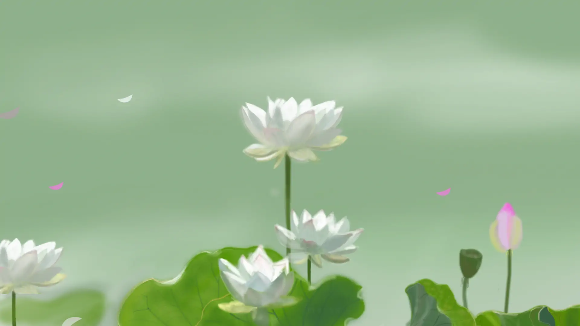 MyBatis学习笔记二