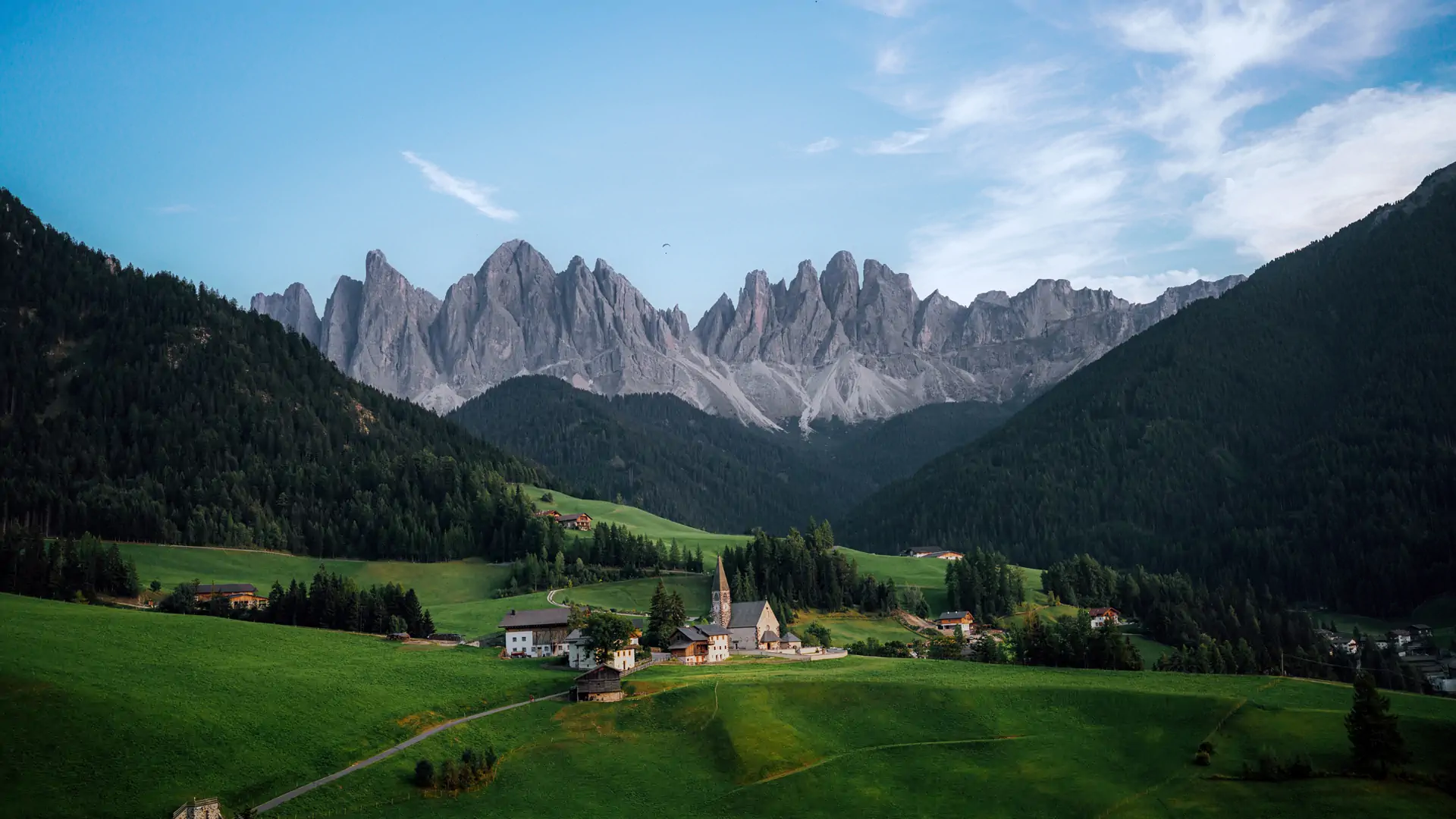 WizTree-你的磁盘空间救星 🚀